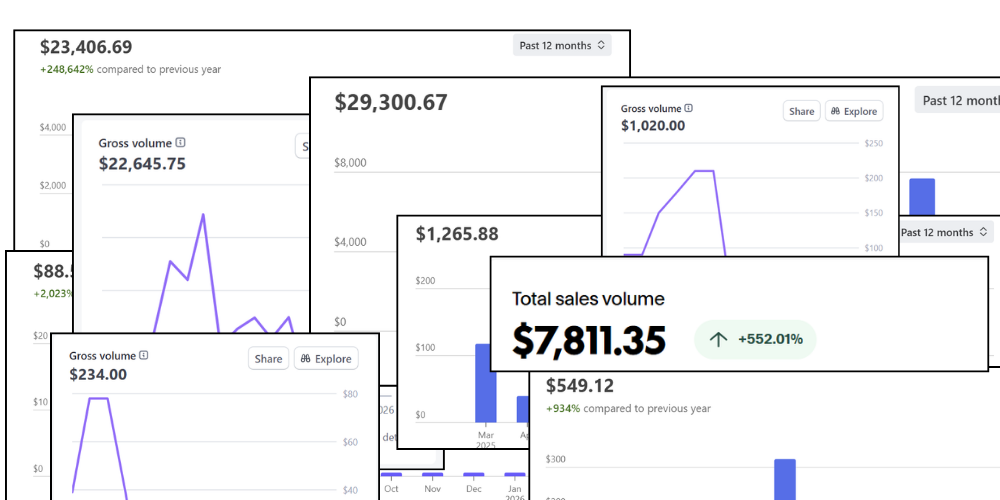 Multiple Stripe account revenue snapshots
